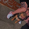 animal, brick_wall, casual, concrete, daytime, dog, footwear, happy, leash, outdoor, pavement, person, pet, resting, shadow, sneakers, soccer_ball, sport, sunlight, tattoo