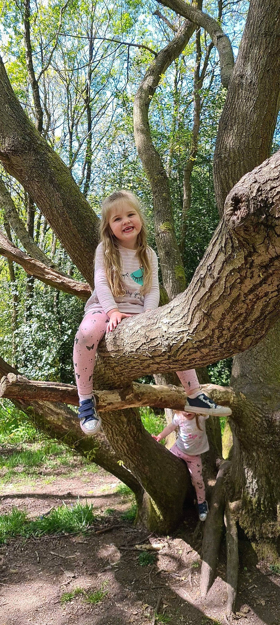 Alayah is registered to the contest to win money with this photo: botany, branch, forest, joy, leg, leisure, person, photo_shoot, photography, plant, smile, spring, tree, trunk, wood, woodland, woody_plant