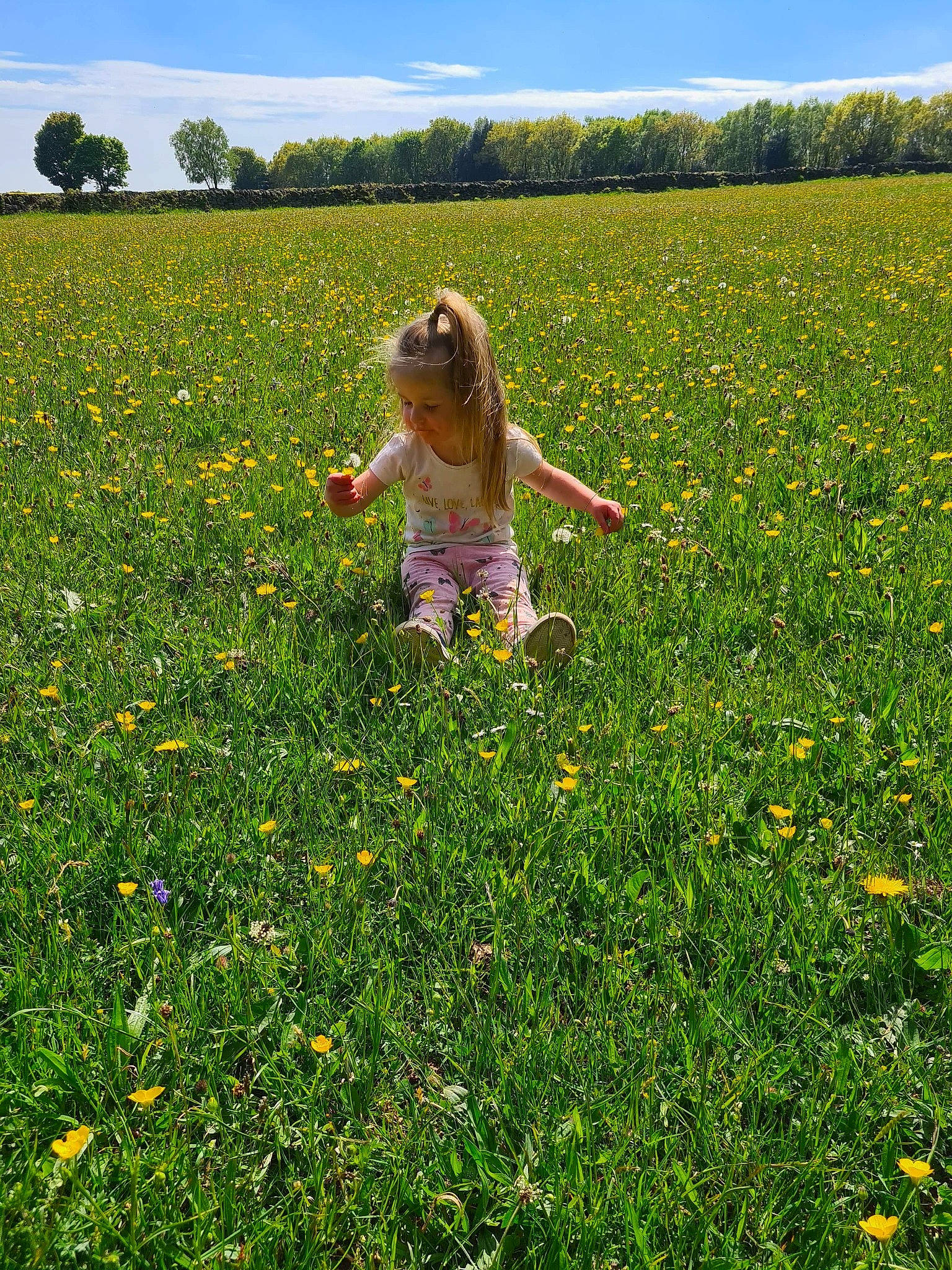 Harlea Jayne joined the competition — help win amazing prizes! canidae, carnivore, dog, field, flower, grass, grass_family, grassland, meadow, mustard_plant, natural_environment, pasture, people_in_nature, person, plant, prairie, rapeseed, sporting_group, spring, summer