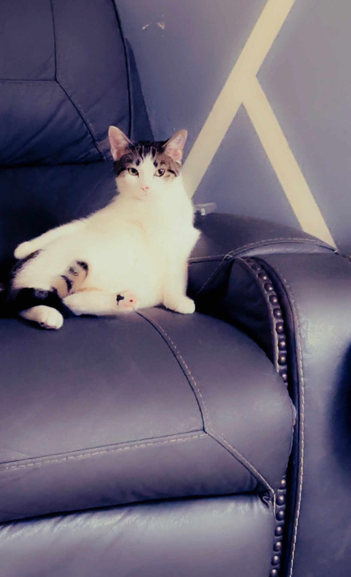 Charlie