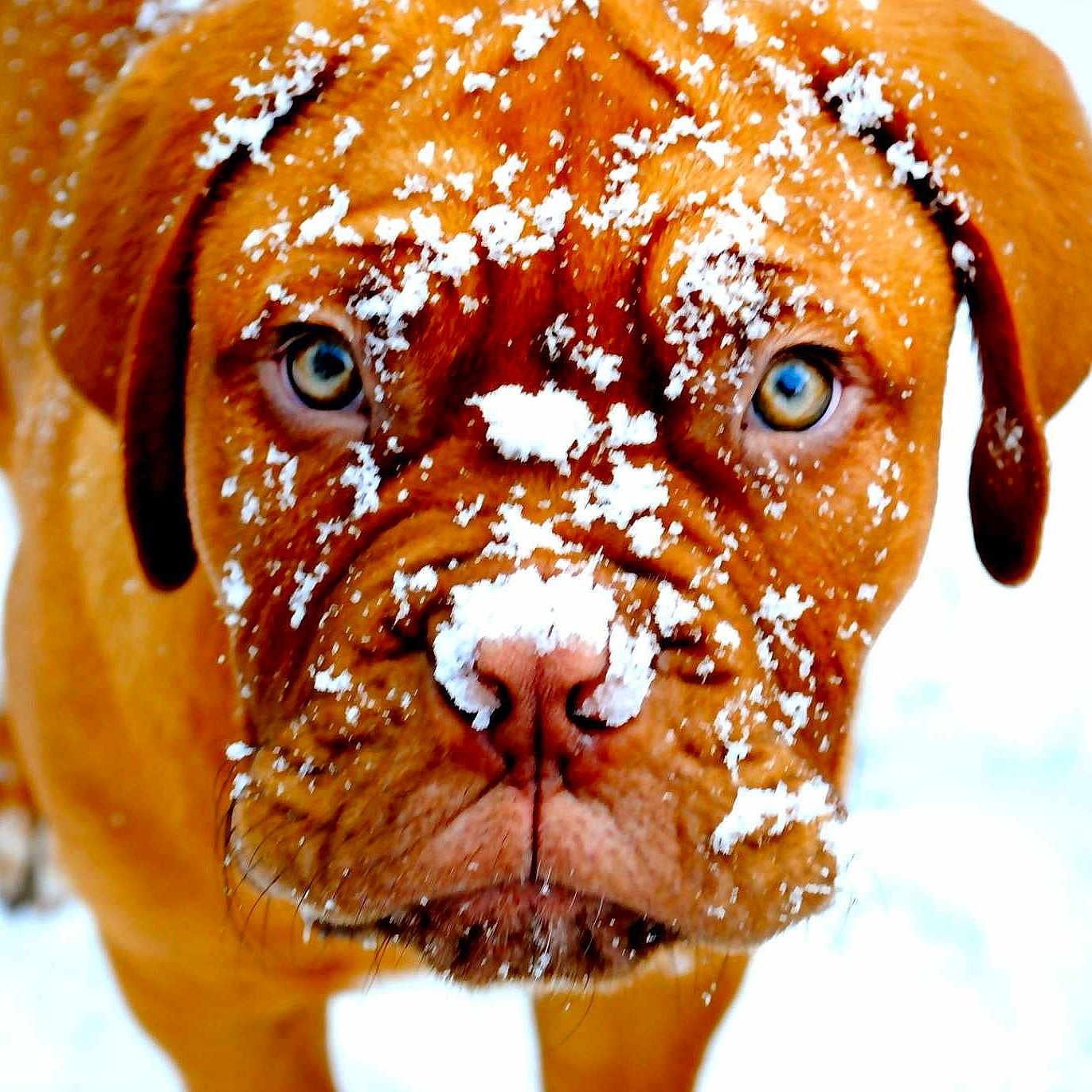 Osca is registered to the contest to win money with this photo: