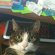 Madison is registered to the contest to win money with this photo: