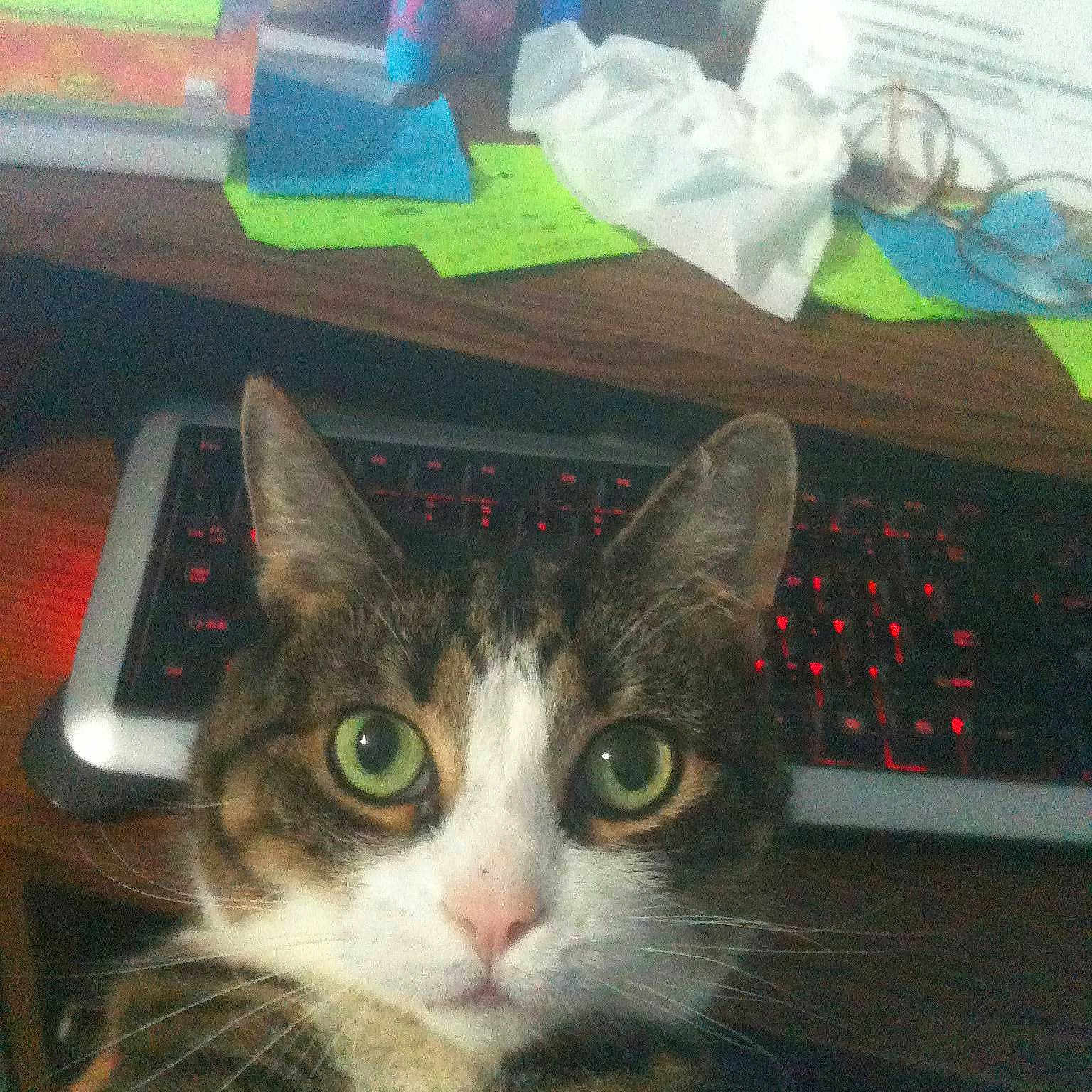 Madison
