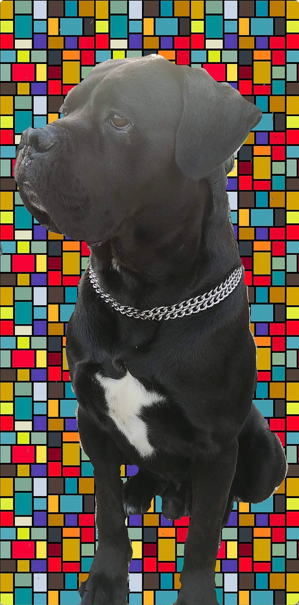 Malcolm participe au concours pour gagner de l'argent avec cette photo : art, carnivore, collar, companion_dog, dog, dog_breed, dog_collar, fur, gun_dog, illustration, liver, painting, pattern, rectangle, snout, sporting_group, terrestrial_animal, visual_arts, whiskers, working_animal