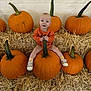 baby, pumpkin, hay, orange_clothing, child, fall, autumn, smile, sitting, shoes, cute, harvest, festival, outdoor, seasonal, decor, person, head, background, celebration