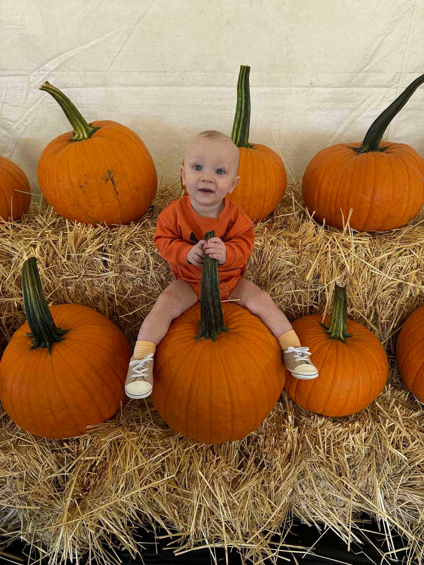Dallas joined the competition — help win amazing prizes! baby, pumpkin, hay, orange_clothing, child, fall, autumn, smile, sitting, shoes, cute, harvest, festival, outdoor, seasonal, decor, person, head, background, celebration