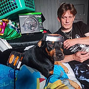 Siska a rejoint le concours — aidez-le/la à gagner de superbes lots ! dog, person, box, blanket, indoor, casual, relaxed, black_dog, brown_dog, seated_person, clutter, furniture, living_room, colorful_blanket, pet, man, watching, resting, home, curious