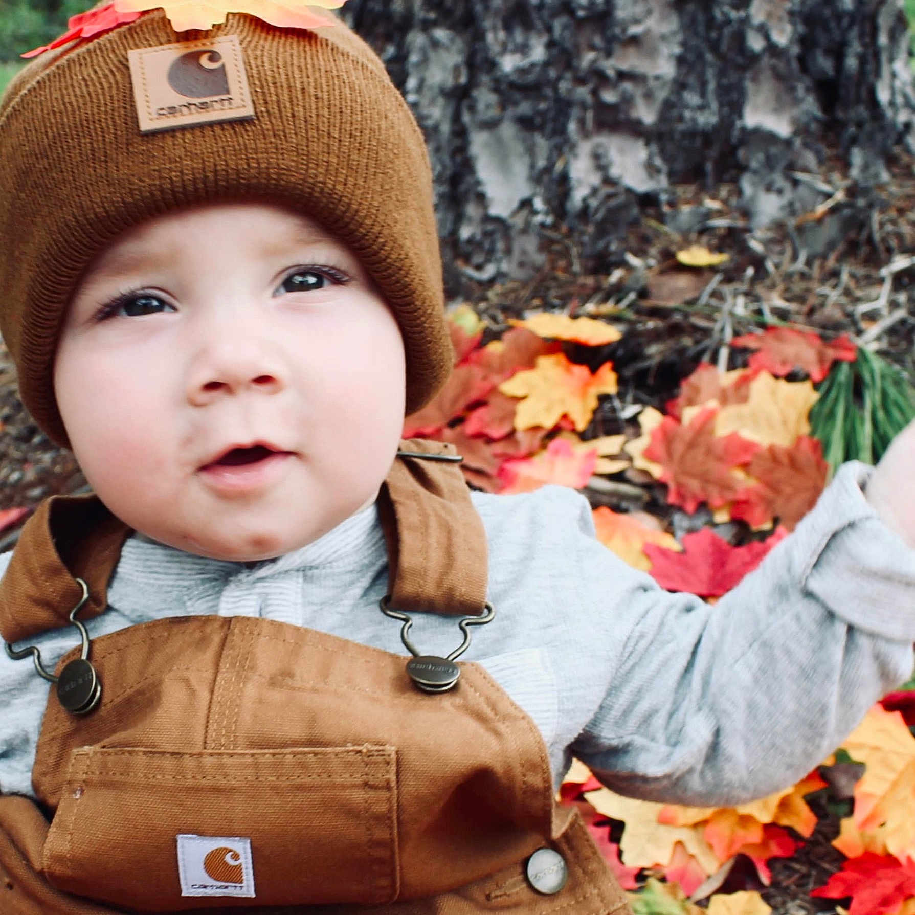 Westin is registered to the contest to win money with this photo: accessories, baby, cap, clothing, coat, face, grass, hat, head, jacket, jeans, leaf, mapleleaf, pants, person, photography, plant, portrait, tree, vegetation