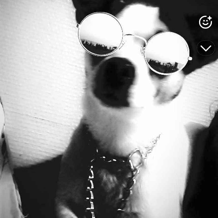Milo