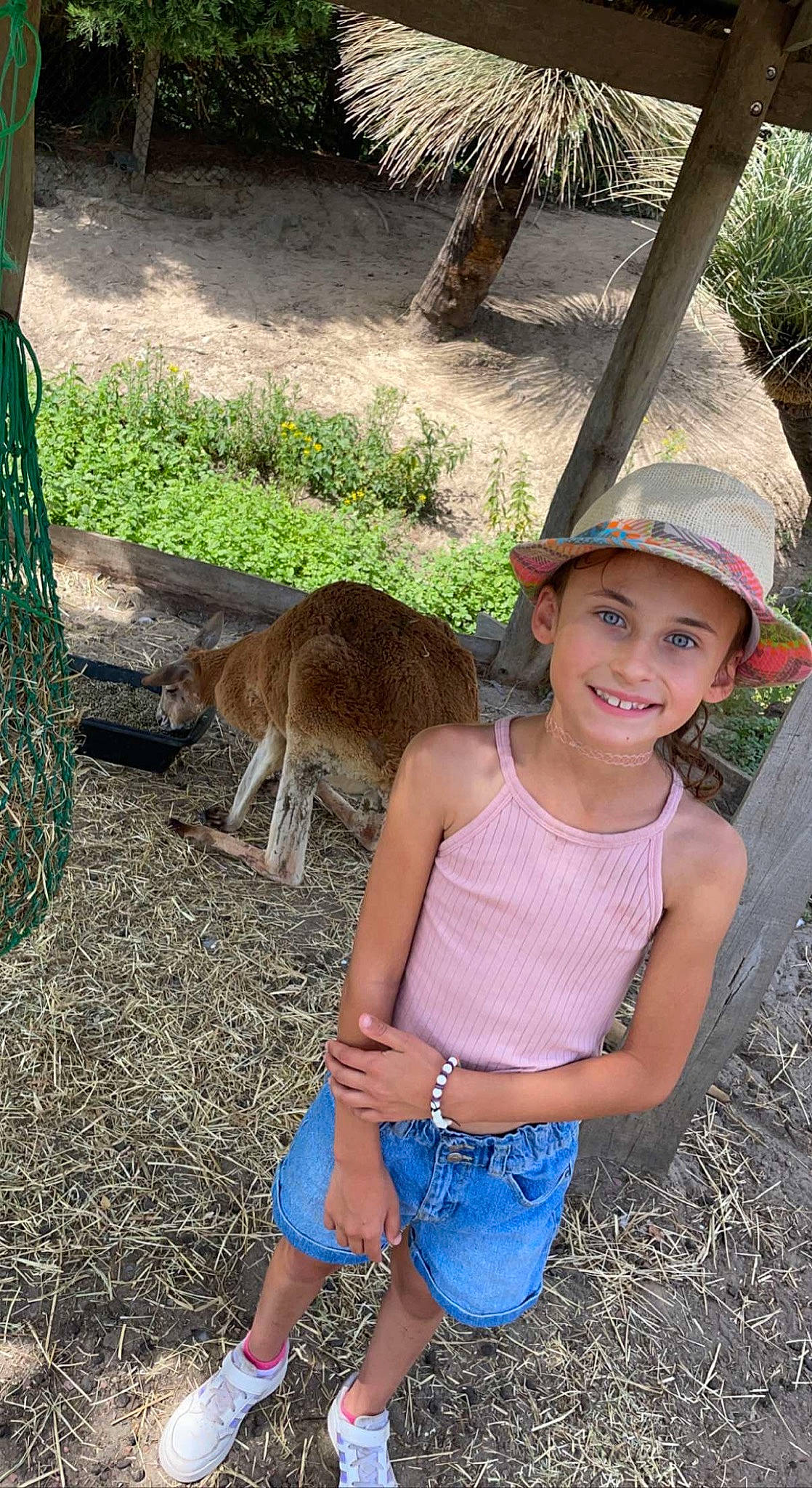 Eva a rejoint le concours — aidez-le/la à gagner de superbes lots ! adaptation, fawn, fun, grass, happy, hat, headwear, joy, kangaroo, landscape, leisure, macropodidae, mammal, person, plant, recreation, shorts, smile, t_shirt, terrestrial_animal