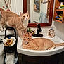 cat, orange_tabby, bathroom, sink, mirror, towel, decor, feline, pet, domestic_animal, relaxed, curious, household, interior, countertop, cabinet, toilet_paper, plant, soap_dispenser, resting