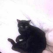 Biscotte a rejoint le concours — aidez-le/la à gagner de superbes lots !