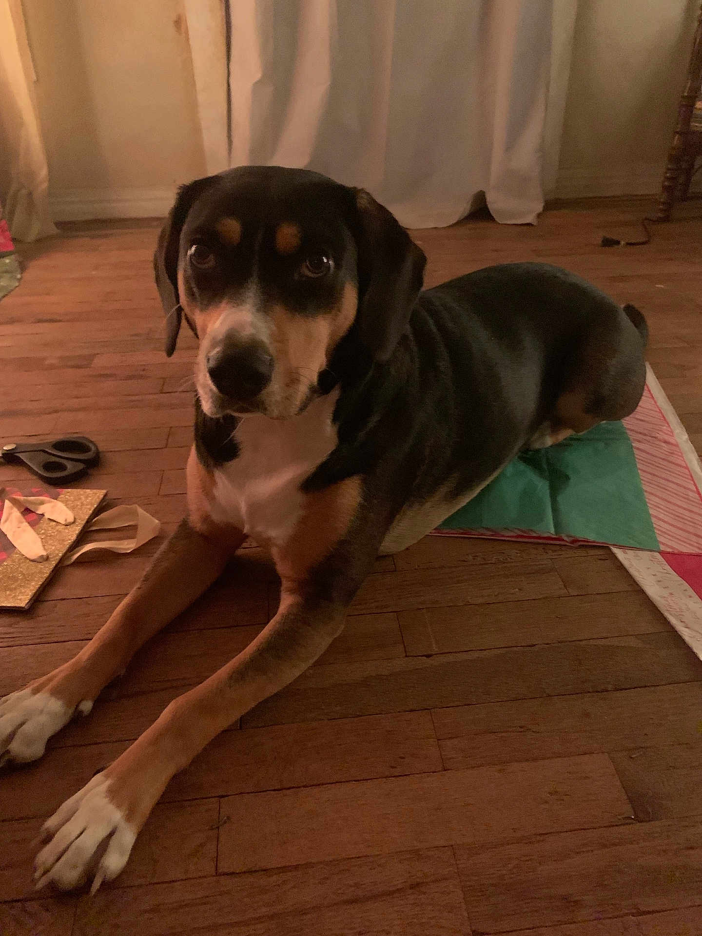 Dixie