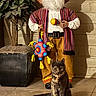 cat, doll, plant, floor, tile, shadow, light, wall, brick_wall, decor, indoor, colorful, striped_clothing, hat, beard, toy, ornament, standing, curious, animal