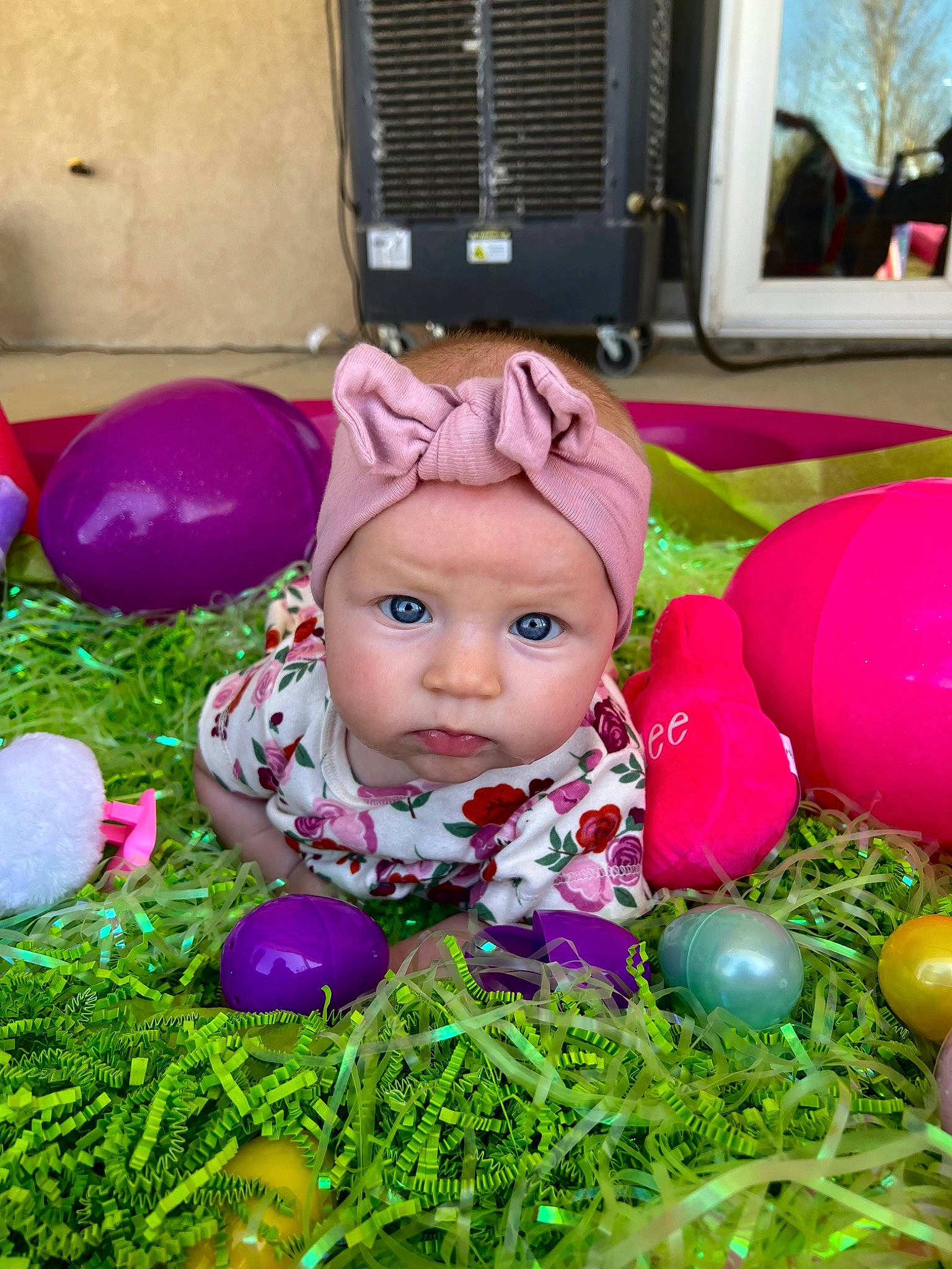 Harlee joined the competition — help win amazing prizes! baby, baby_toddler_clothing, balloon, basket, child, event, fun, grass, happy, headwear, holiday, magenta, party, party_supply, person, pink, plant, play, purple, sitting