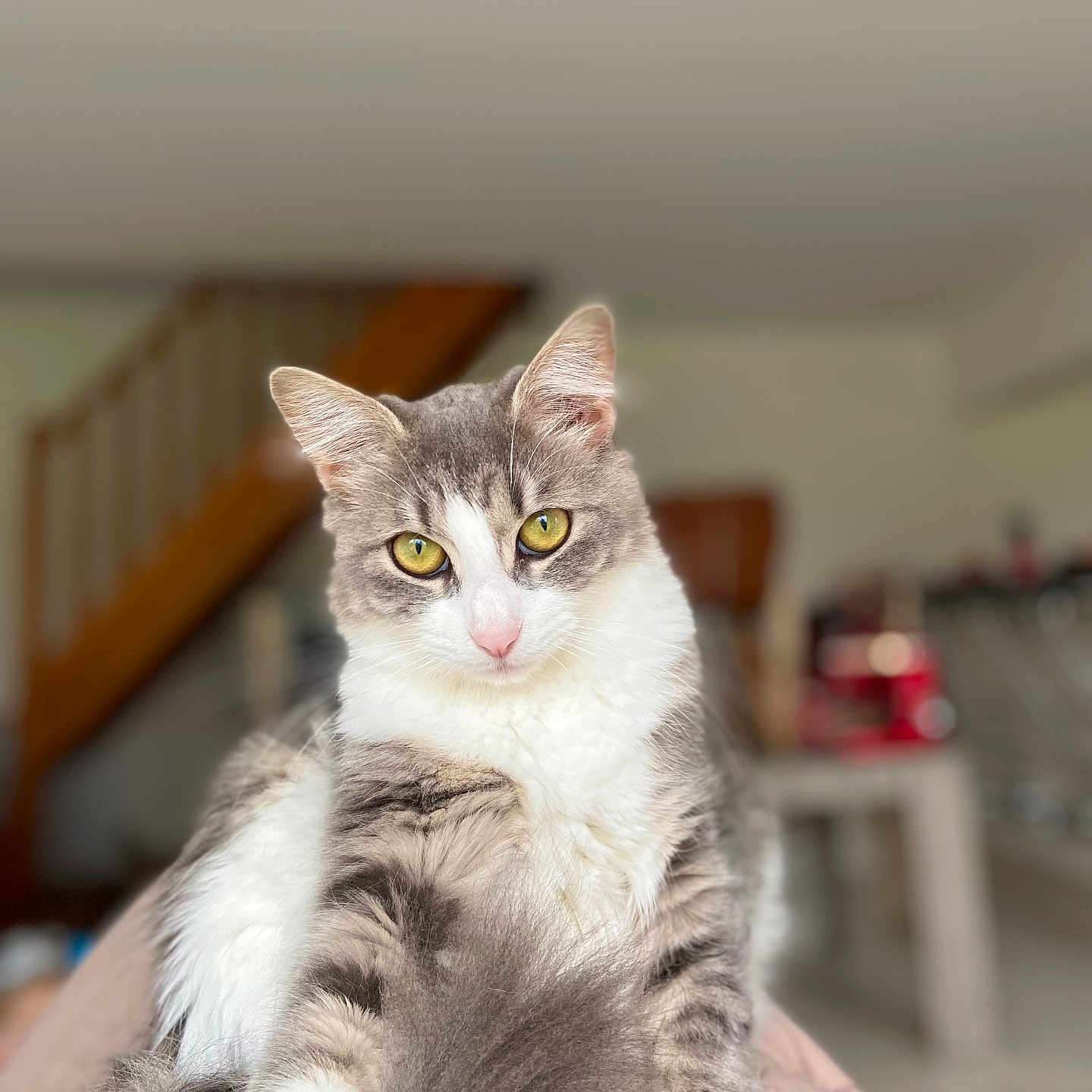 Moumoune