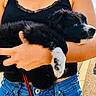 Blue participe au concours pour gagner de l'argent avec cette photo : puppy, dog, black_and_white, person, arms, holding, outdoor, daylight, jeans, tank_top, street, sidewalk, sunlight, greenery, suburban, cute, pet, fur, animal, portrait