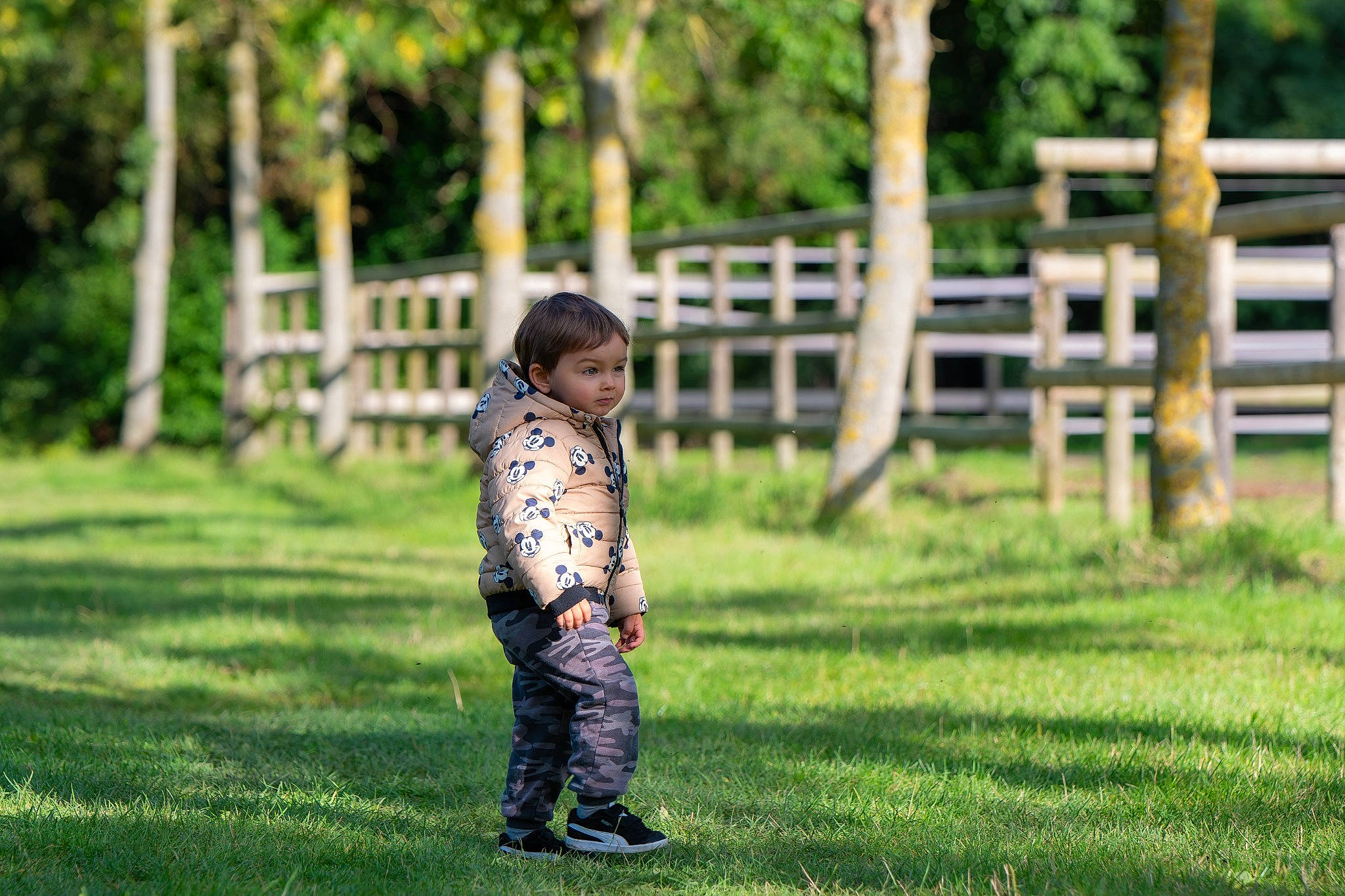 Mathéo a rejoint le concours — aidez-le/la à gagner de superbes lots ! child, fence, fun, garden, grass, grassland, happy, landscape, lawn, leisure, meadow, people_in_nature, person, plant, portrait_photography, recreation, sitting, toddler, tree, vacation