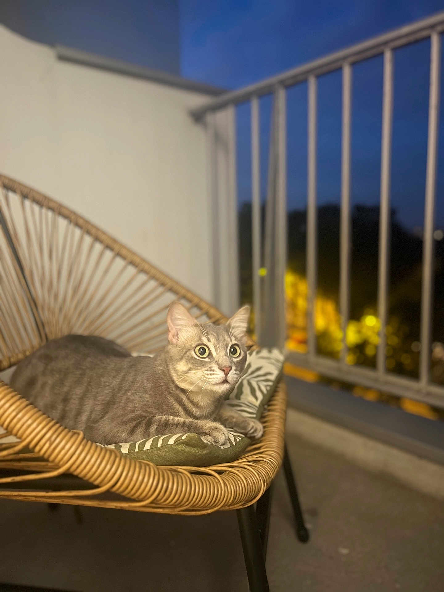 Tom