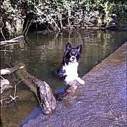 Ted is registered to the contest to win money with this photo: