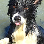 Ted is registered to the contest to win money with this photo: