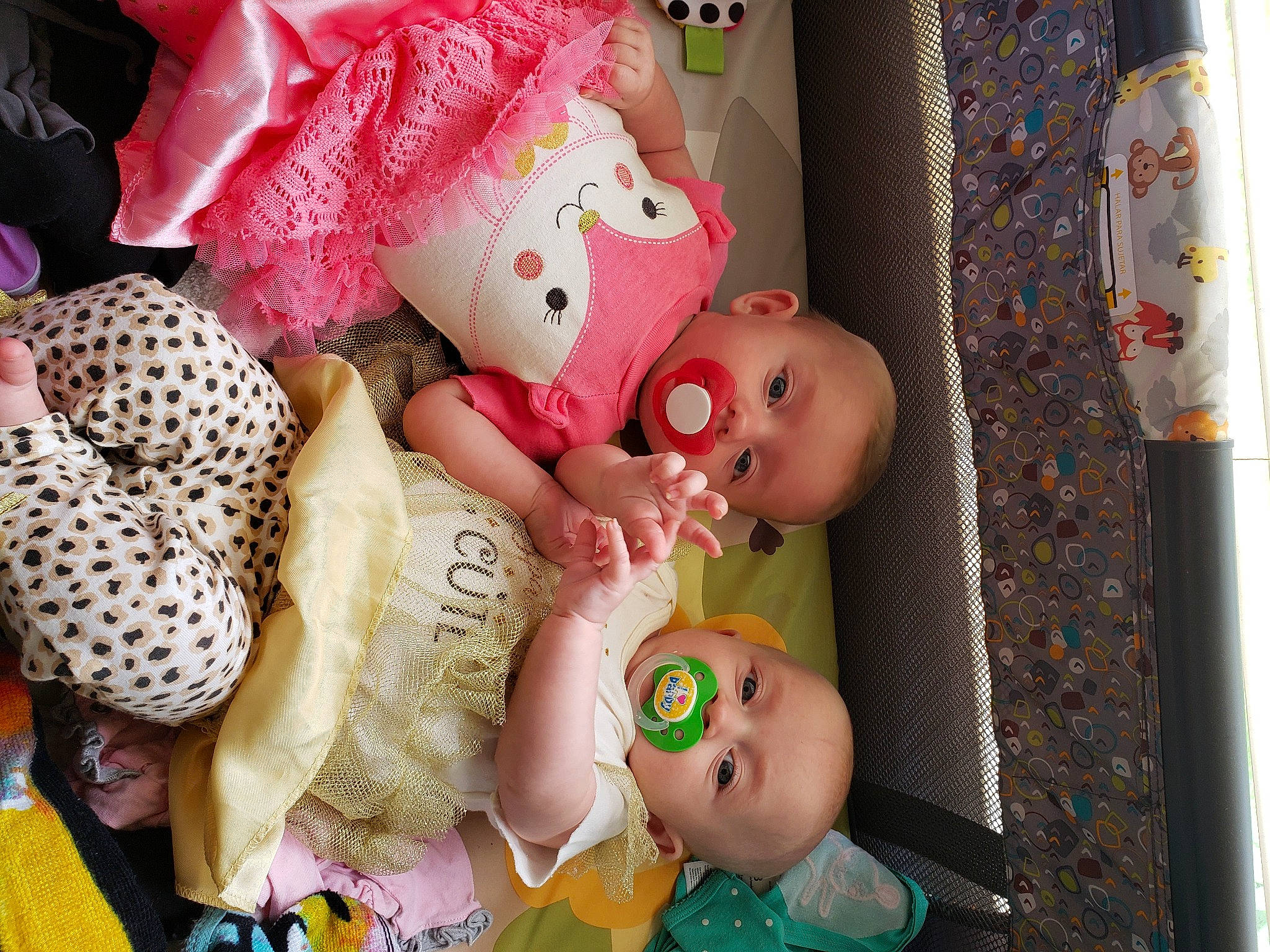 Alice is registered to the contest to win money with this photo: baby, baby_products, baby_toys, child, doll, person, pink, plant, plush, product, room, stuffed_toy, textile, toddler, toy, yellow