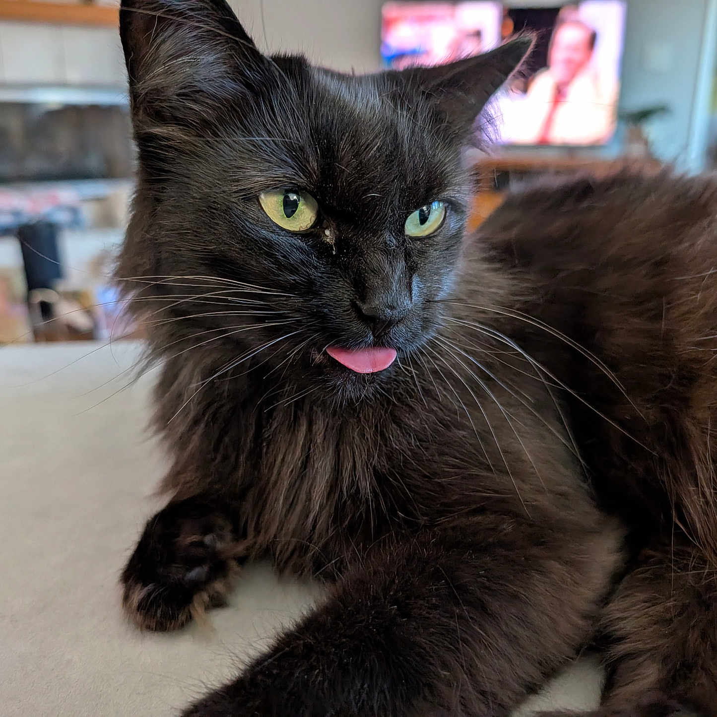 Nala