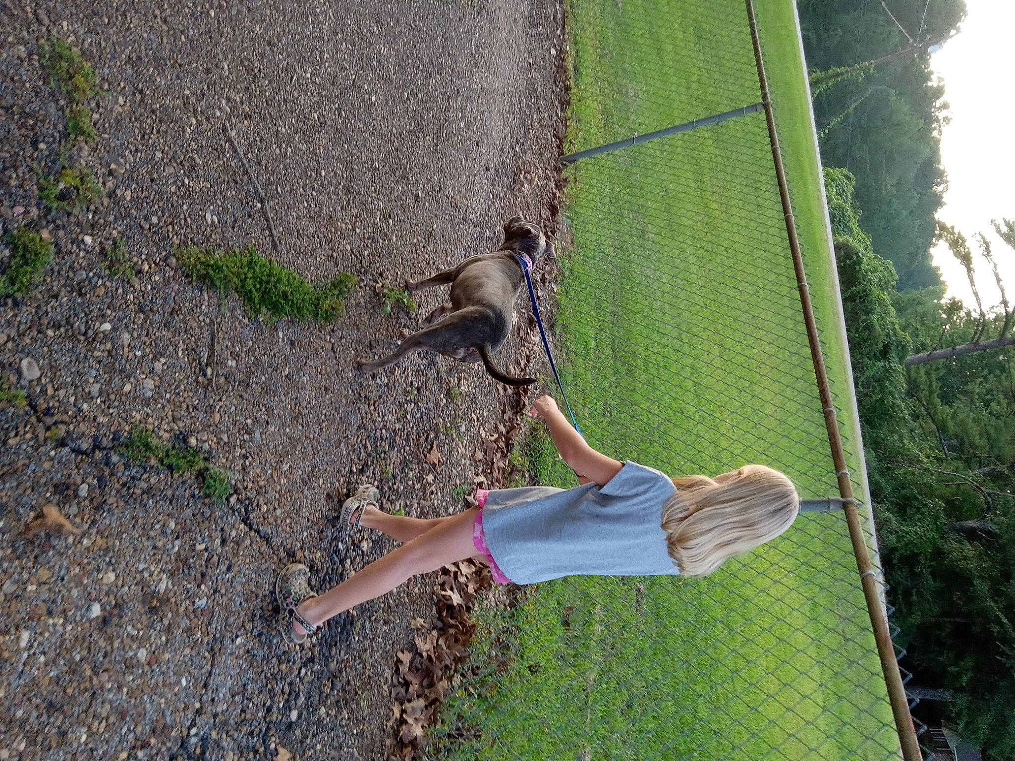 Lillian is registered to the contest to win money with this photo: asphalt, foot, fun, grass, grass_family, human_leg, leisure, people_in_nature, plant, recreation, road_surface, sandal, shadow, shrub, soil, tail, thigh, tree