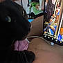black_cat, cat, close_up, phone, smartphone, video, livestream, people, bus, hand, whiskers, fur, eye, indoor, technology, screen, person, arm, cable, casual
