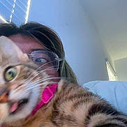 Peep is registered to the contest to win money with this photo: cat, person, glasses, indoor, window, blinds, closeup, fur, whiskers, tongue, surprised, face, hair, collar, pink, light, wall, bed, expression, blur