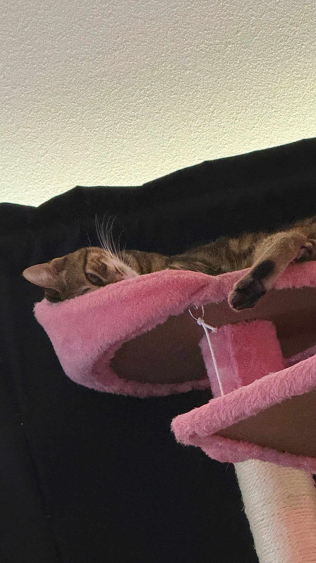 Peep