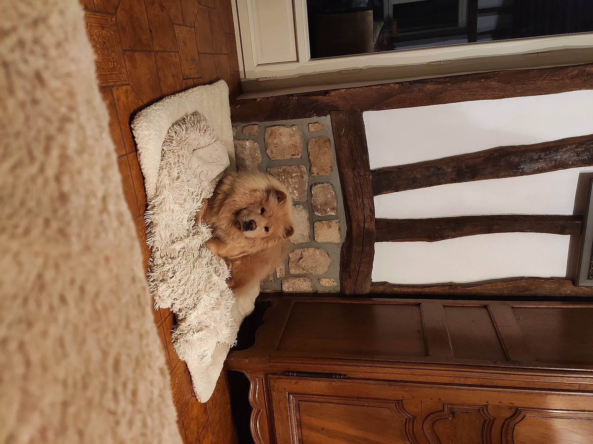 Ohana participe au concours pour gagner de l'argent avec cette photo : fawn, furniture, wood