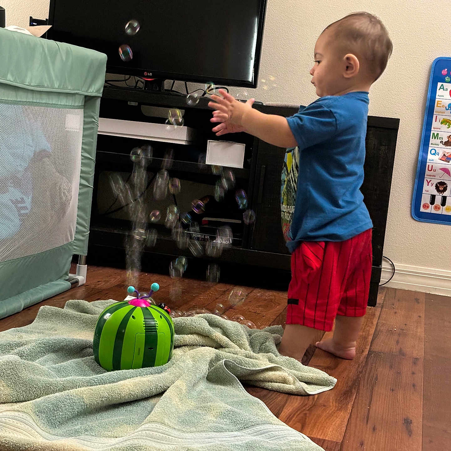 Tommy joined the competition — help win amazing prizes! ball, boy, child, clothing, computerhardware, crib, electronics, football, furniture, hardware, indoors, infantbed, interiordesign, male, monitor, person, screen, shorts, soccer, tv