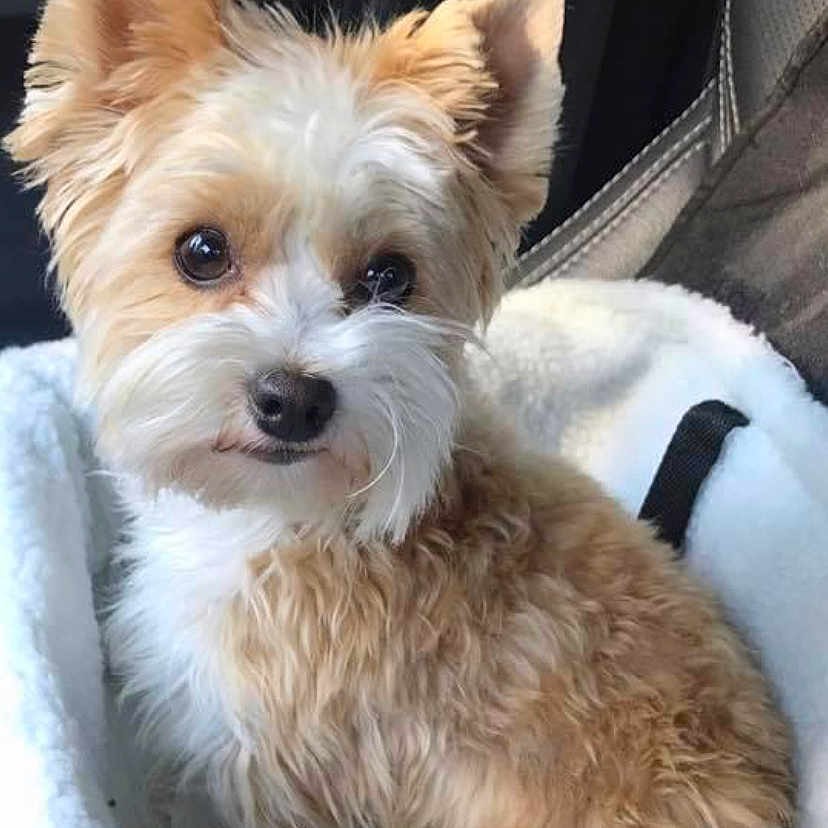Nalla