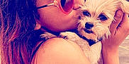 Nala joined the competition — help win amazing prizes! person, dog, sunglasses, kiss, outdoor, pet, affection, closeup, hair, headband, face, hand, fur, small_dog, animal, nature, shoulder, skin, love, casual