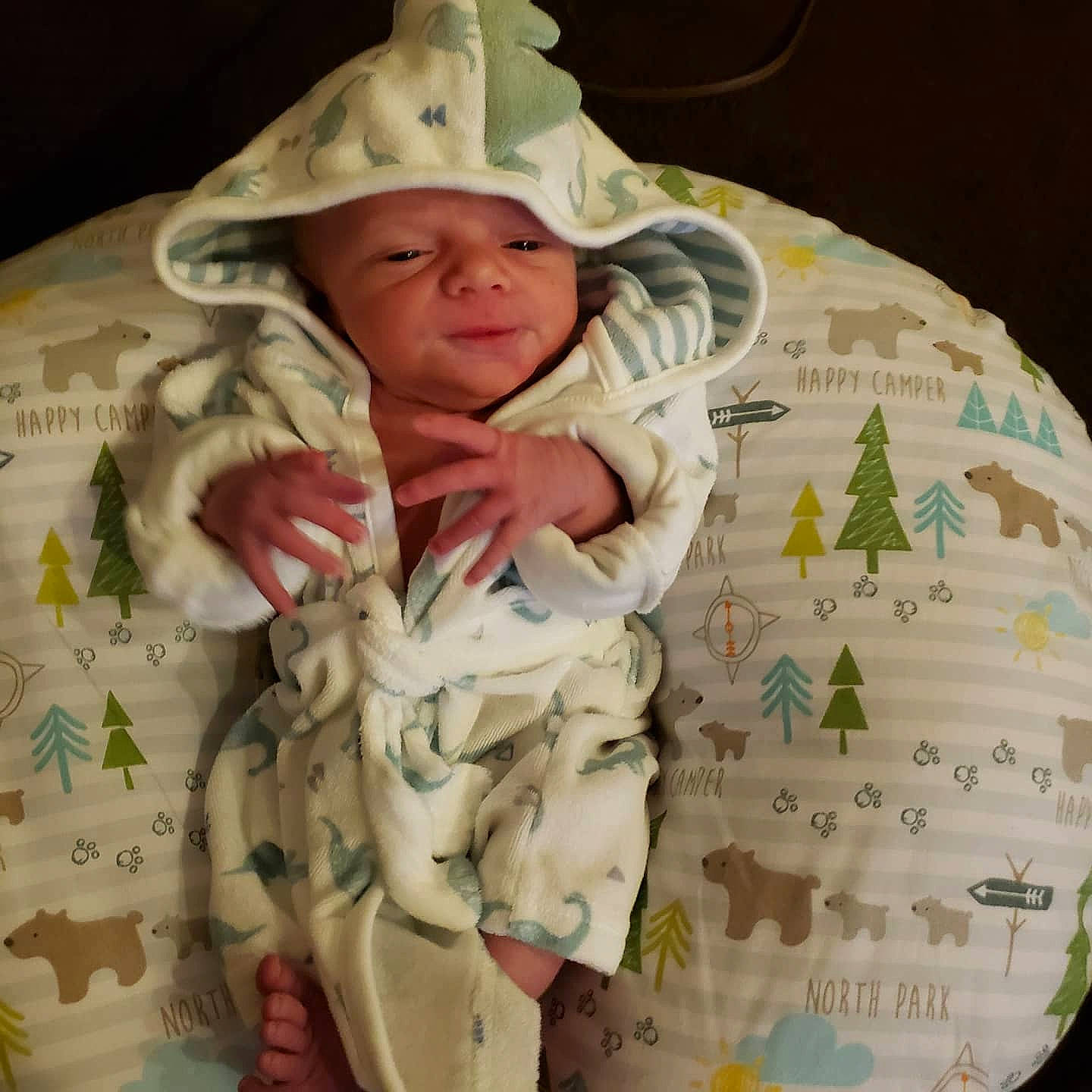 Devlin is registered to the contest to win money with this photo: baby, baby_products, baby_safety, baby_sleeping, baby_toddler_clothing, bonnet, cheek, costume_accessory, headwear, hood, human, human_body, linens, nose, person, product, skin, toddler