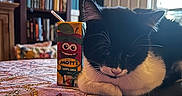 Odd is registered to the contest to win money with this photo: cat, black_and_white, juice_box, mott's, table, bookshelf, door, indoor, relaxing, furniture, tool, red_tool, whiskers, domestic_cat, resting, home, window, light, beverage, cartoon_face