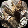 cat, tabby, pet, animal, feline, blanket, fur, whiskers, ears, eyes, cute, relaxed, indoor, cozy, soft, patterned_blanket, resting, looking, curious, domestic_cat