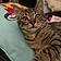 Huey Magoo