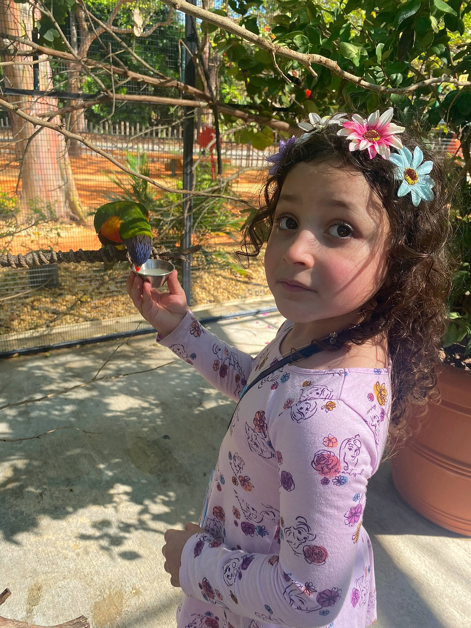 Isabella Lorraine joined the competition — help win amazing prizes! adaptation, child, face, fashion_accessory, flower, fruit, fun, grass, happy, headpiece, leaf, leisure, magenta, person, plant, skin, sleeve, toddler, tree, vacation