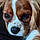 Molly