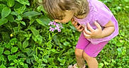 Brylee is registered to the contest to win money with this photo: child, flower, purple_clothing, greenery, outdoor, nature, plant, curly_hair, sandals, summer, garden, sniffing, grass, leaves, young_child, casual_wear, sunlight, bending, exploring, flora