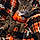 Denver Bronco