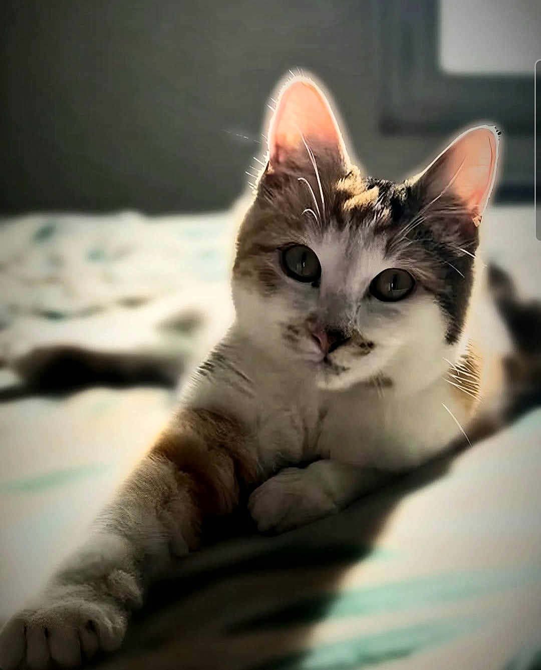 Yuna