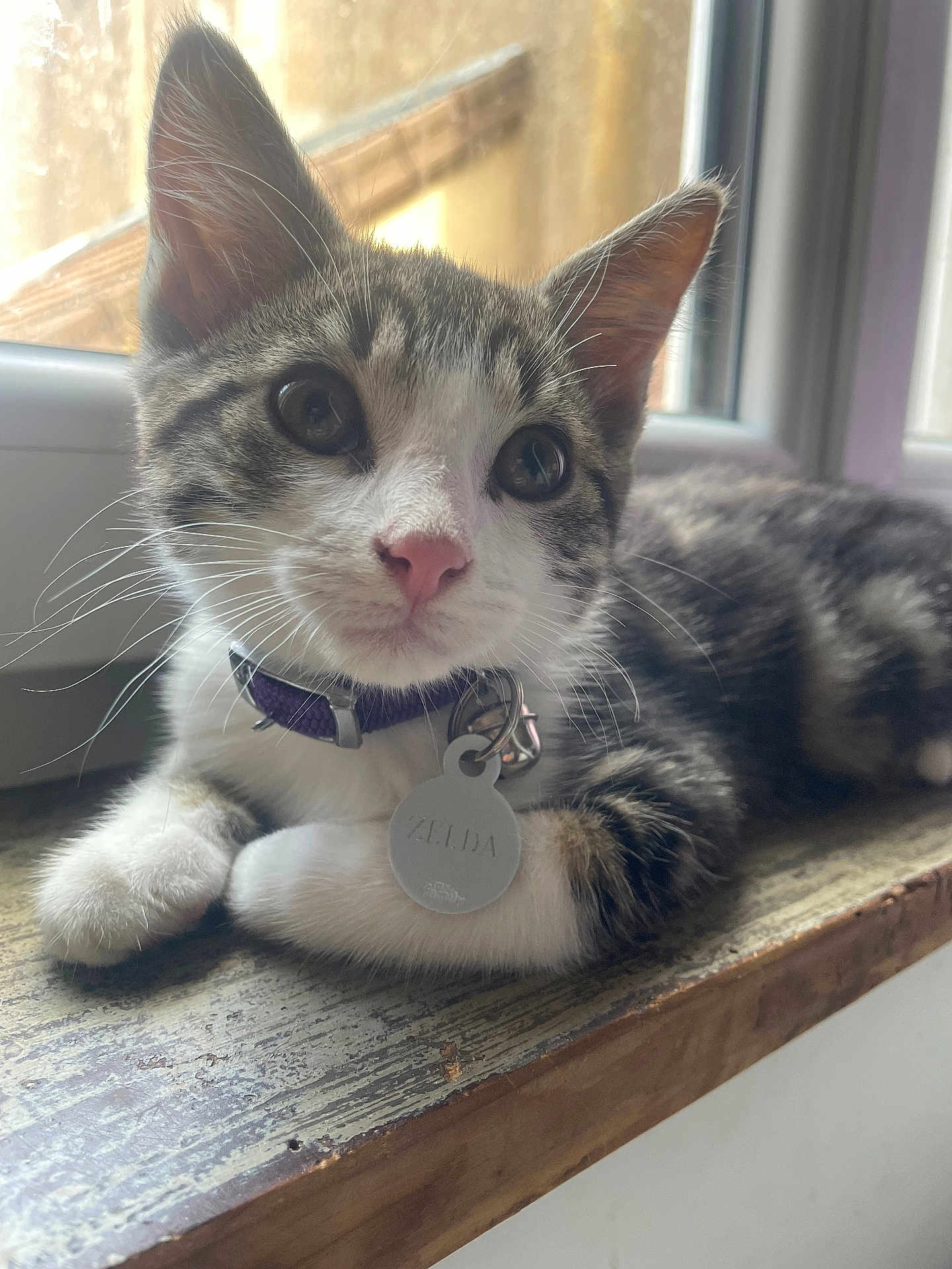 Zelda