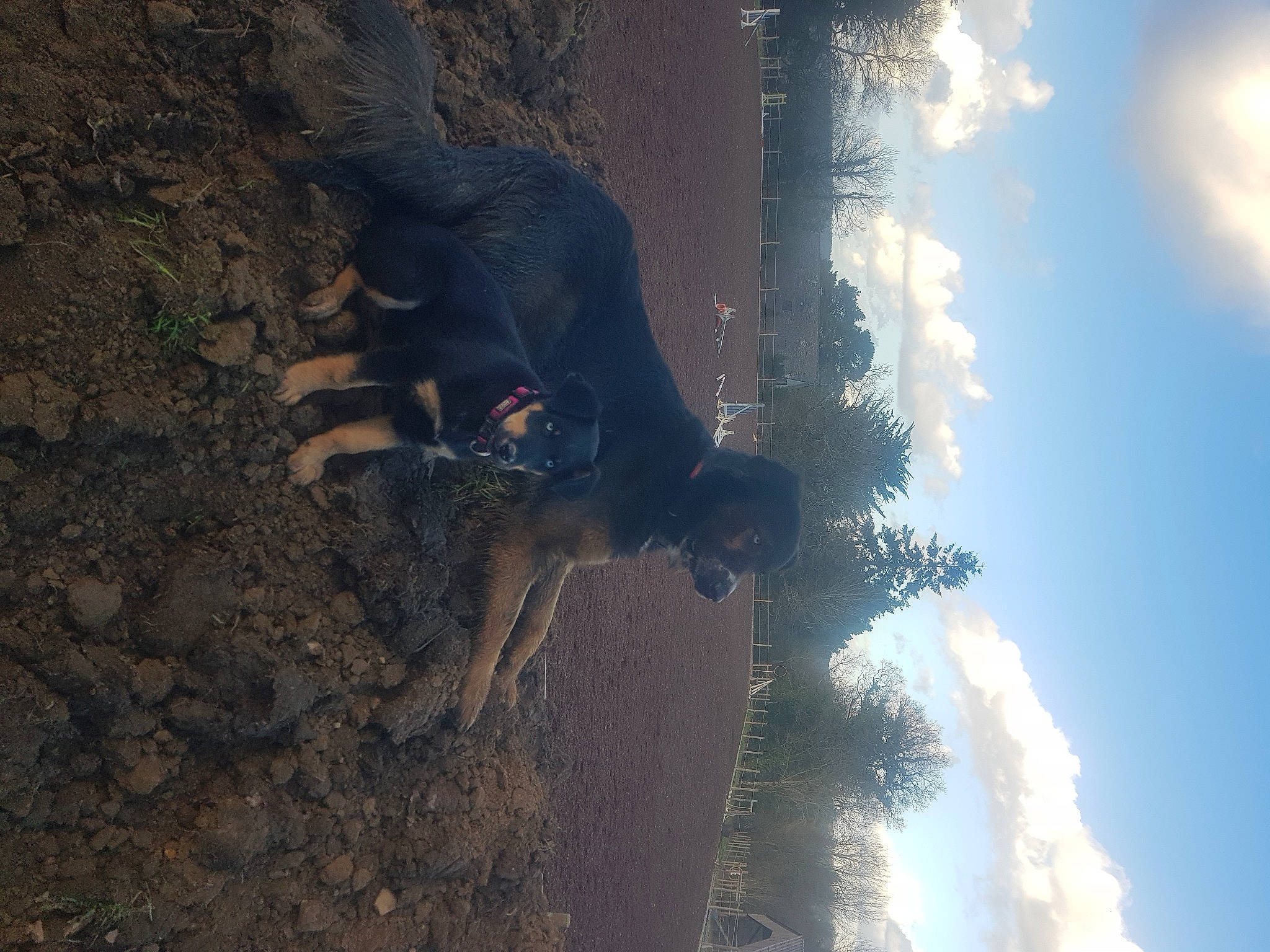 Syrius participe au concours pour gagner de l'argent avec cette photo : adventure, backlighting, cloud, forest, fun, geological_phenomenon, landscape, lens_flare, plant, recreation, reflection, rock, shadow, sky, soil, sunlight, tree, water, winter, wood