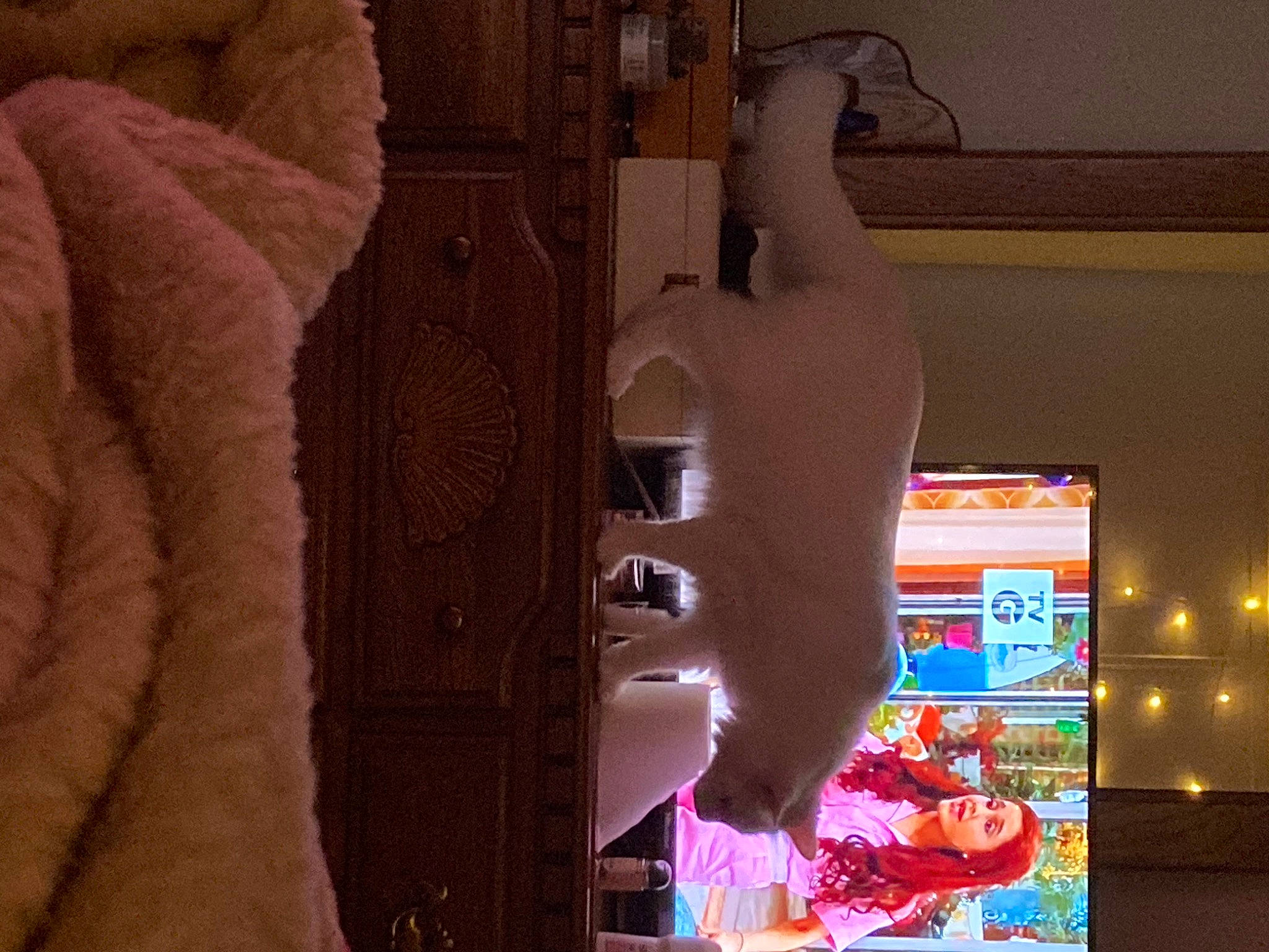 Cloud joined the competition — help win amazing prizes! art, chest, fawn, flooring, fur, glass, magenta, room, tail, textile, visual_arts, wood