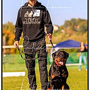Vanaheim a rejoint le concours — aidez-le/la à gagner de superbes lots ! man, dog, rottweiler, leash, outdoor, grass, cap, black_clothing, sunny, event, smiling_dog, walking, person, pet, animal, nature, daylight, happy, canine, recreation