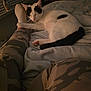 Caine is registered to the contest to win money with this photo: bed, black_and_white_cat, blanket, camouflage_pants, cat, cozy, cute, foot, furniture, human_leg, indoor, night, paw, pet, relaxation, resting, sleeping, sock, soft_light, window_blinds