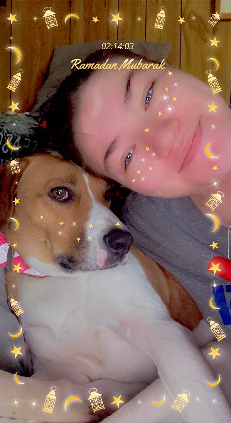 Sassy is registered to the contest to win money with this photo: carnivore, child, collar, companion_dog, dog, dog_breed, dog_collar, ear, event, fawn, fun, fur, happy, hat, head, nose, smile, toddler, whiskers, working_animal